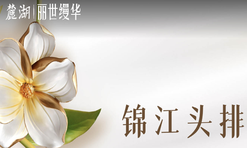 麓湖丽世缦华-影音厅建设