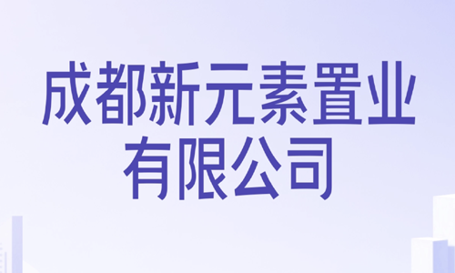 新元素置业网络安全建设